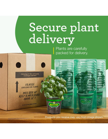 Plantas de Tomate Goliath Bonnie en Maceta - Paquete de 4