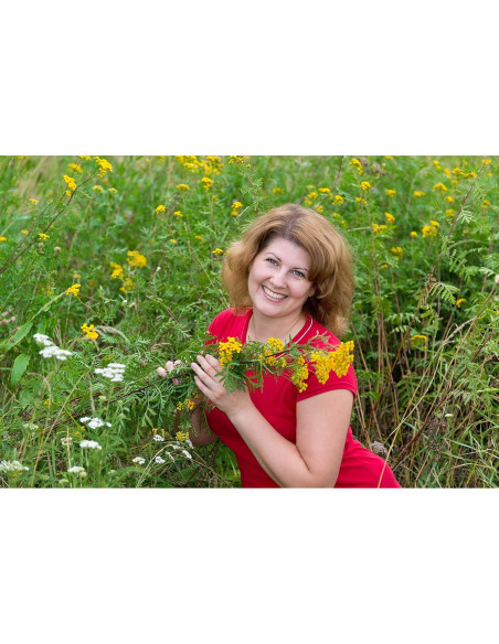 Té Herbal Tansy Embajada de Salud 50g - Tanacetum Vulgare