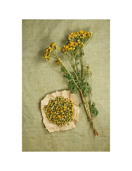 Té Herbal Tansy Embajada de Salud 50g - Tanacetum Vulgare