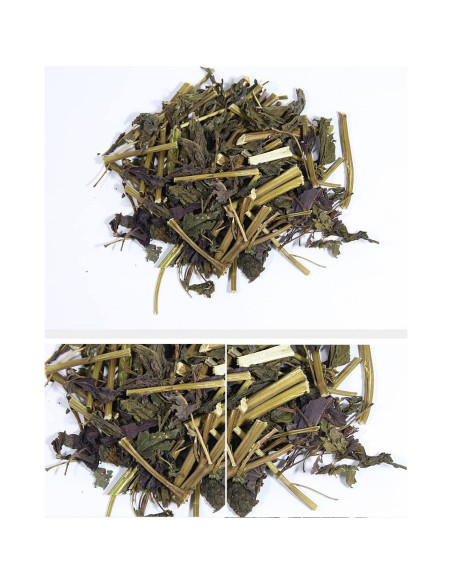 Té Orgánico de Perilla Frutescens Goodlife - 50 Bolsas