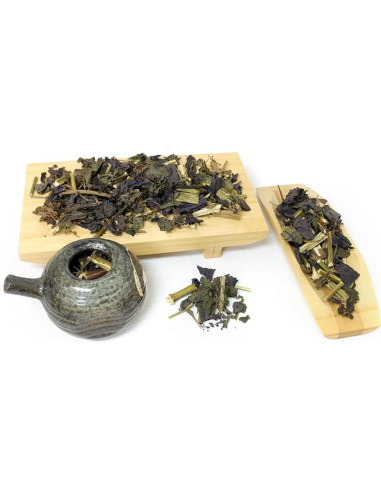 Té Orgánico de Perilla Frutescens Goodlife - 50 Bolsas