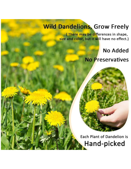 Té de raíz de diente de león T'SMOMENT 125g herbal natural