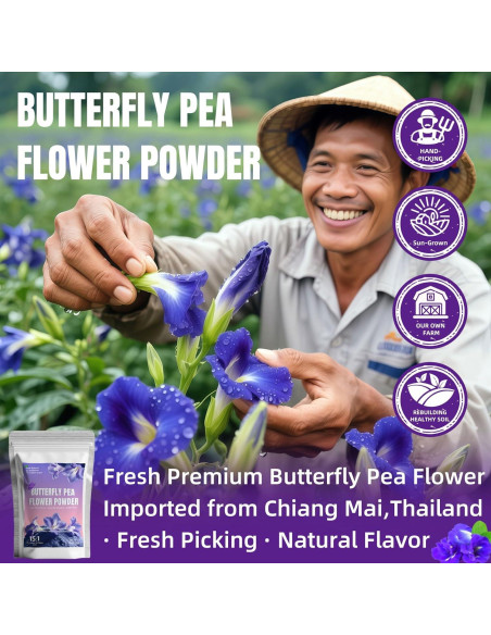Polvo de Flor de Guisante Mariposa 200g - Colorante Natural Azul