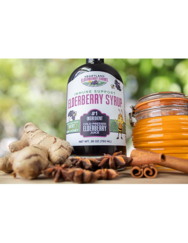 Jarabe de Sábila Orgánico Heartland 375 ml - Apoyo Inmunológico