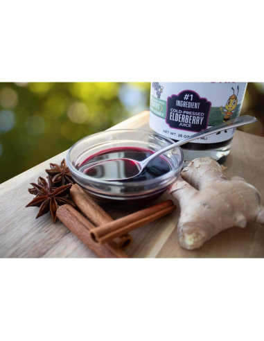 Jarabe de Sábila Orgánico Heartland 375 ml - Apoyo Inmunológico