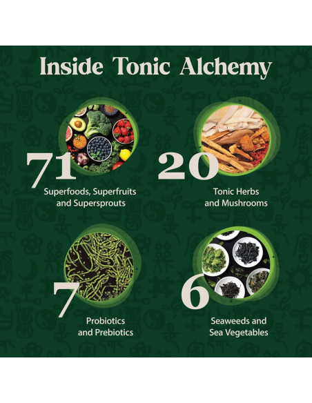 Polvo Superalimento Verde Tónico Alquimia Dragon Herbs 269g