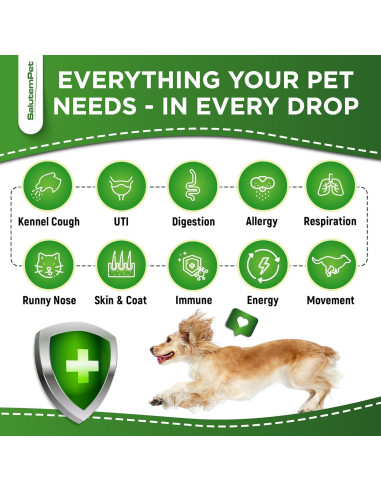 Antibiótico Natural para Perros y Gatos SalutemPet 60 ml