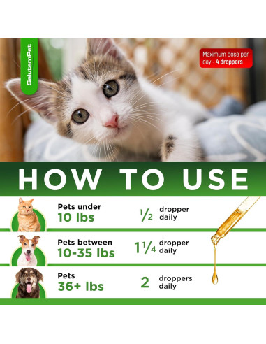 Antibiótico Natural para Perros y Gatos SalutemPet 60 ml