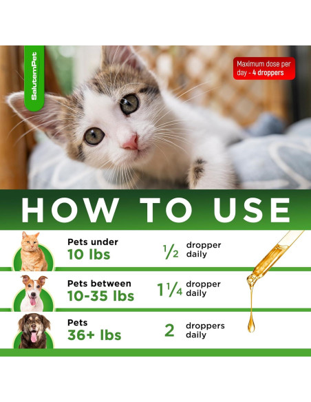 Antibiótico Natural para Perros y Gatos SalutemPet 60 ml