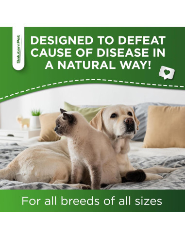 Antibiótico Natural para Perros y Gatos SalutemPet 60 ml