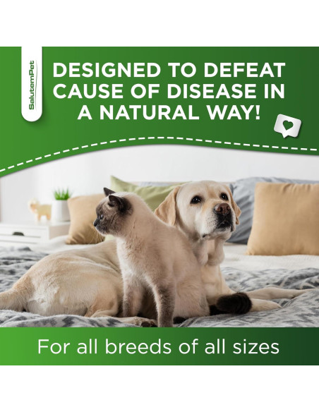 Antibiótico Natural para Perros y Gatos SalutemPet 60 ml