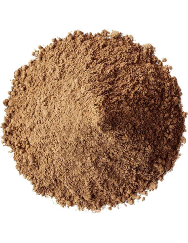 Polvo de Hongo Reishi Rojo Orgánico Food to Live 227g - Superalimento Vegano