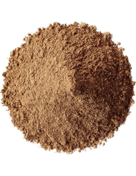 Polvo de Hongo Reishi Rojo Orgánico Food to Live 227g - Superalimento Vegano