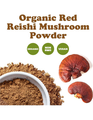 Polvo de Hongo Reishi Rojo Orgánico Food to Live 227g - Superalimento Vegano