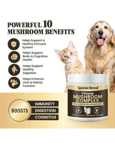 Suplemento de Champiñones Orgánicos para Perros y Gatos - 90g