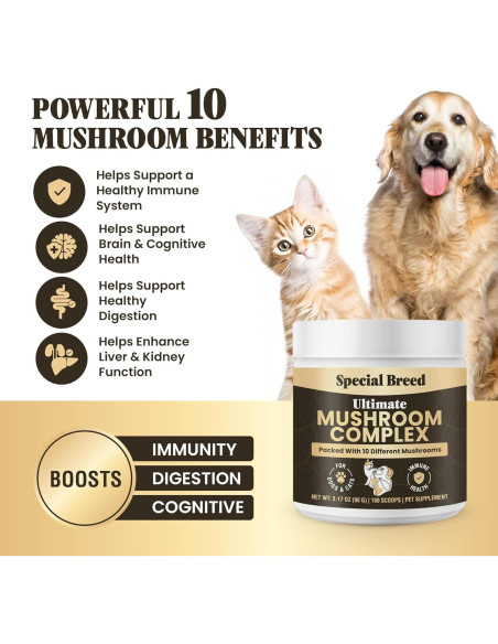 Suplemento de Champiñones Orgánicos para Perros y Gatos - 90g