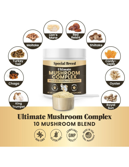 Suplemento de Champiñones Orgánicos para Perros y Gatos - 90g