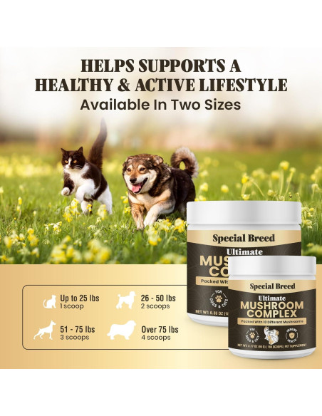 Suplemento de Champiñones Orgánicos para Perros y Gatos - 90g