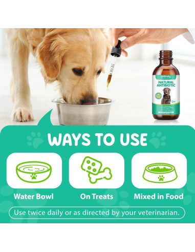 Antibióticos Naturales para Perros ZQZPZBPZ 60ml Sabor Tocino
