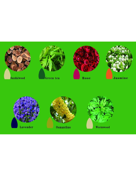 170 Conos de Incienso Retroceso OWMMIZ 7 Aromas Naturales