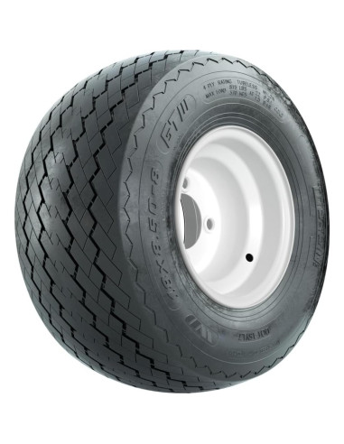 Rueda y Neumático GTW 8" para Carrito de Golf Topspin Plus