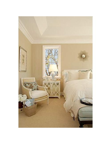 Pintura y Primer Todo en Uno THE ONE Crema Mate 250ml