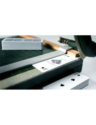 Mazos de Cartas Hoyle Slice - 2 Paquetes con Estuche