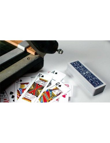 Mazos de Cartas Hoyle Slice - 2 Paquetes con Estuche