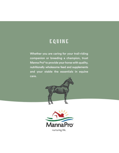 Acondicionador de Cuero Neatsfoot Lexol 1L | Suaviza y Protege