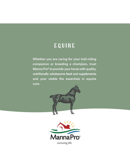 Acondicionador de Cuero Neatsfoot Lexol 1L | Suaviza y Protege