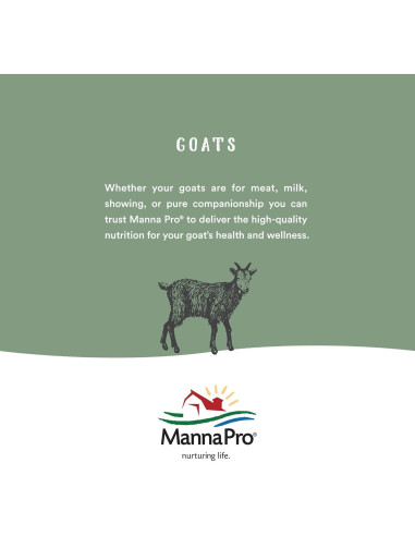 Acondicionador de Cuero Neatsfoot Lexol 1L | Suaviza y Protege