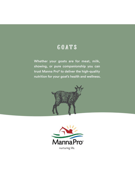 Acondicionador de Cuero Neatsfoot Lexol 1L | Suaviza y Protege