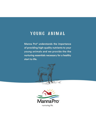 Acondicionador de Cuero Neatsfoot Lexol 1L | Suaviza y Protege