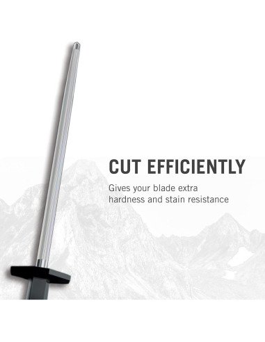 Acero de Afilado Victorinox 25.4 cm Mango Plástico Negro