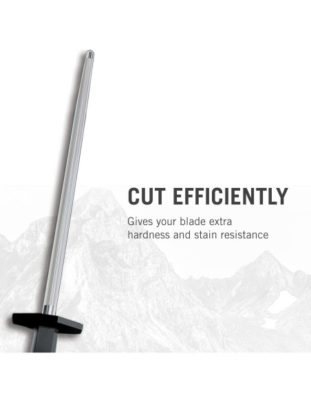 Acero de Afilado Victorinox 25.4 cm Mango Plástico Negro