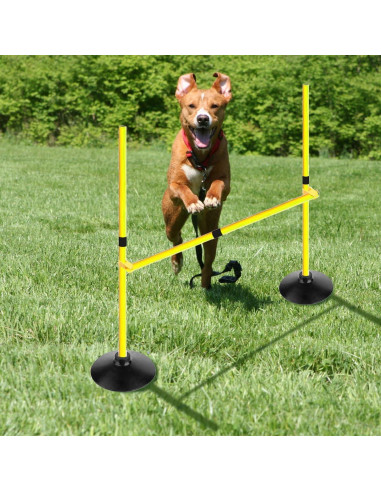 Conjunto de Vallas de Agilidad Voodans 1.0 m Ajustables