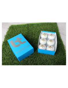 Paquete de 6 Bolas de Críquet Blancas BT Cricket 156g