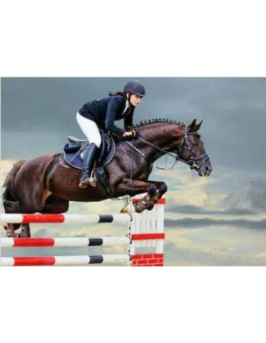 Cronómetro de Salto Ecuestre ArenaGear RM-510 Inalámbrico