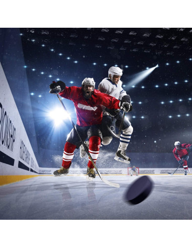 Discos de Hockey sobre Hielo Golden Sport 25pcs 7.62cm Negro