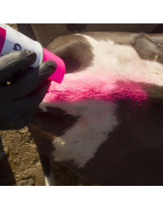 Pintura en aerosol para marcado de ganado LACO 61116 Verde Fluorescente 2