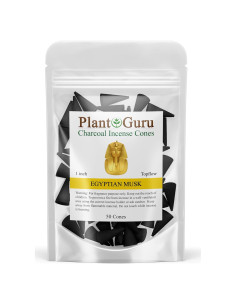 Conos de Incienso de Carbón Plant Guru Almizcle Egipcio 50 Unidades