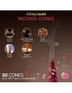 Conos de Incienso Natural Aiimuzeum 30 PCS - Rosa Silvestre 2