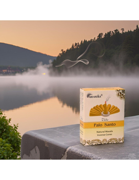 Conos de Incienso ARO VATIKA Palo Santo Védico 120 Unidades
