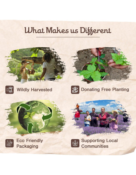 Varitas de Incienso Palo Santo Sagrada Madre 8pcs 23cm Ecológicas