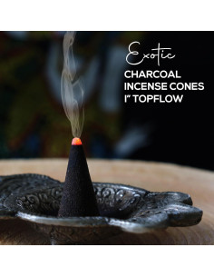 Conos de Incienso de Menta Plant Guru - 50 Unidades - Hechos a Mano 2