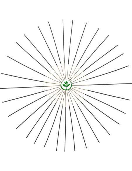Incienso Natural Clavo Plant Guru 28 cm - 50 Varitas Aroma Duradero