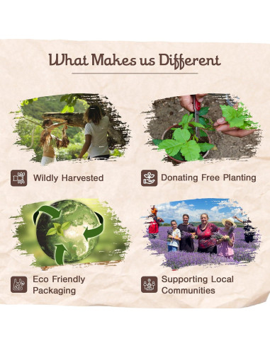 Incienso de Palo Santo Sagrada Madre 8 Varitas 23cm Ecológico