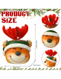 3 Plantas Suculentas Artificiales de Navidad en Macetas de Resina 2