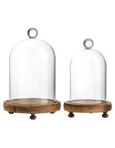 Pack 2 Campanas de Vidrio con Base de Madera - ZEERSHEE
