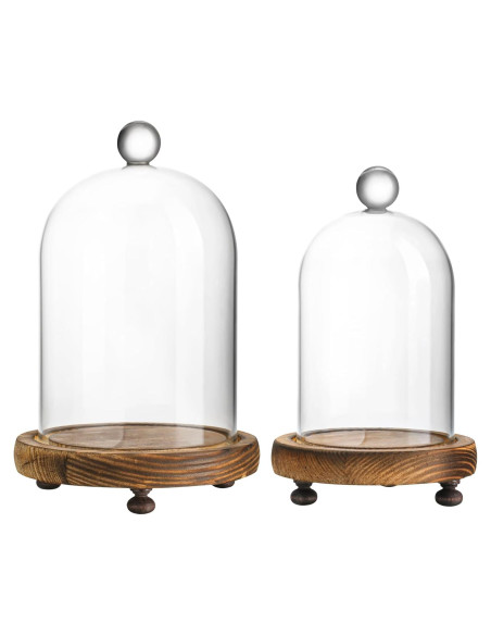 Pack 2 Campanas de Vidrio con Base de Madera - ZEERSHEE